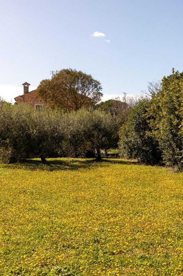 Villa Martina Fano Exterior foto